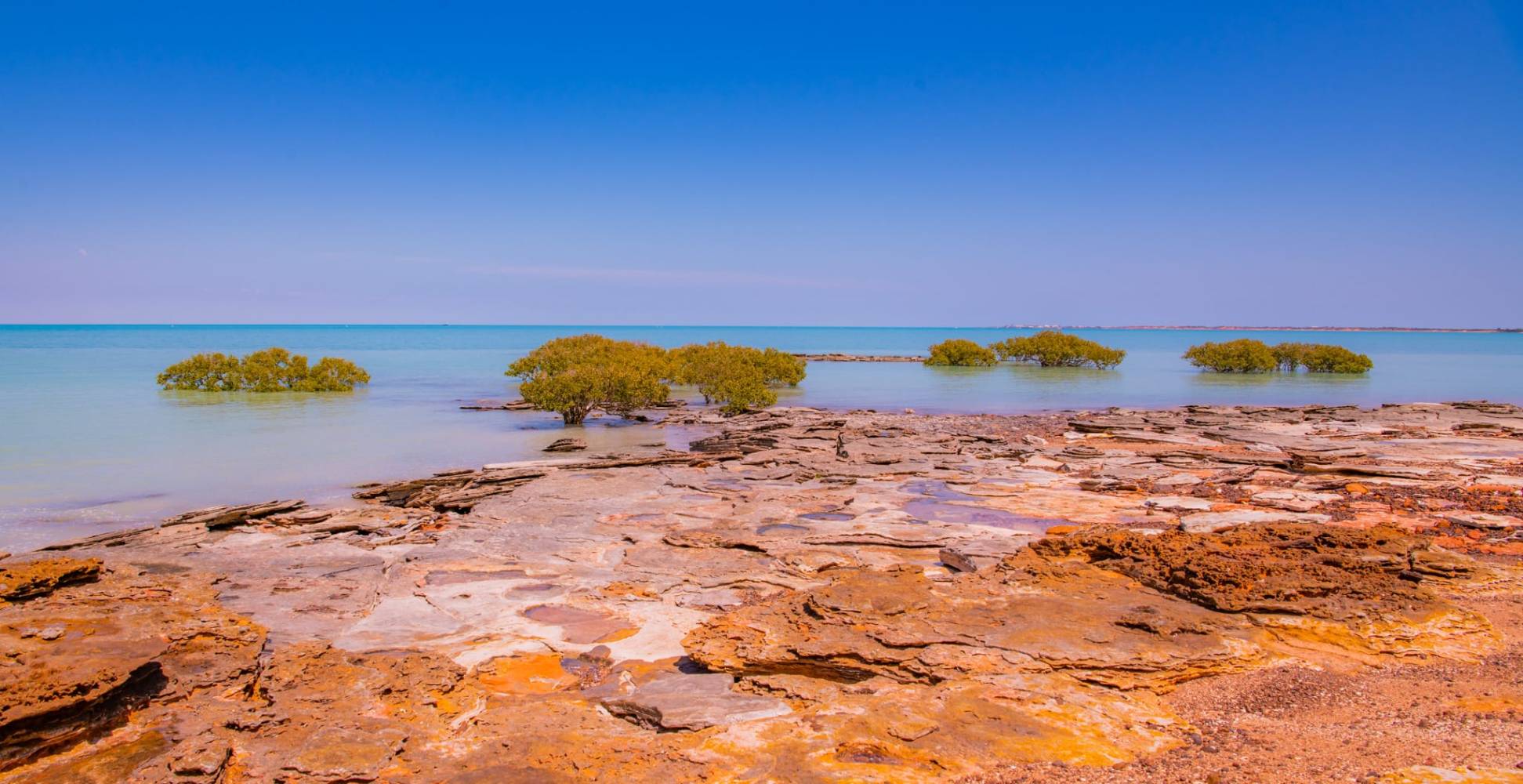 Rocky coast with scattered green shrubs and calm blue sea under a clear sky.
