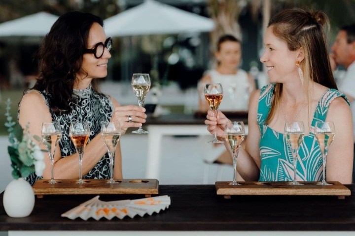 Two women clinking glasses with wine at an outdoor table.