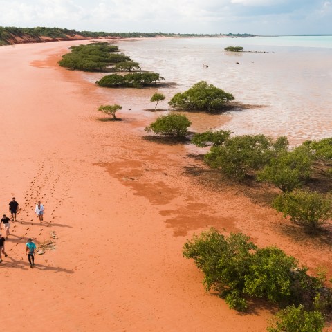 People walking on a wide red sandy beach near green shrubs and water.