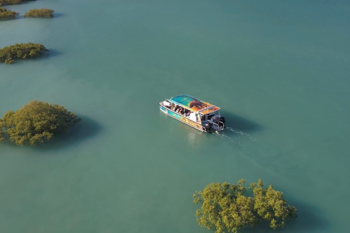 Small boat in turquoise water surrounded by mangrove trees.