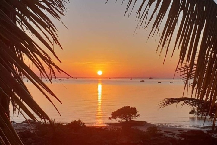 Sunset over calm sea with palm leaves framing the view and distant boats on the horizon.