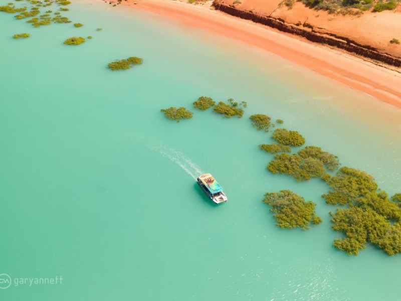 Aerial view of a boat on turquoise water near a sandy, vegetated shoreline.
