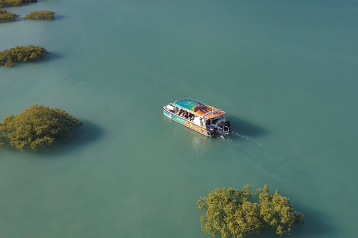 Aerial view of a boat navigating through green water near small patches of greenery.