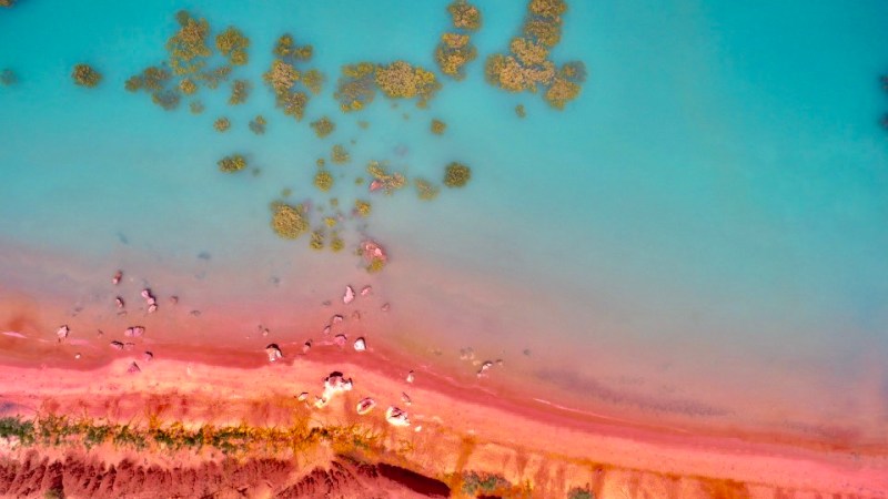 Aerial view of a beach with red sand meeting turquoise water and small patches of vegetation.