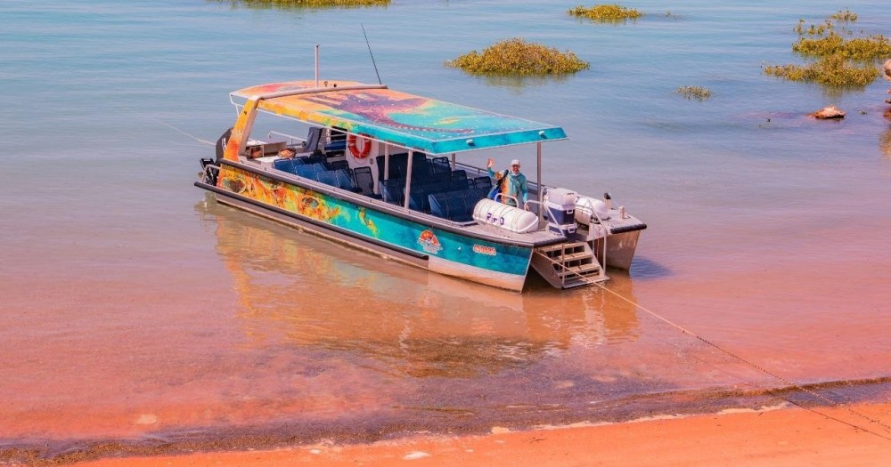 Colorful boat docked on a sandy shore with water and plants in the background.