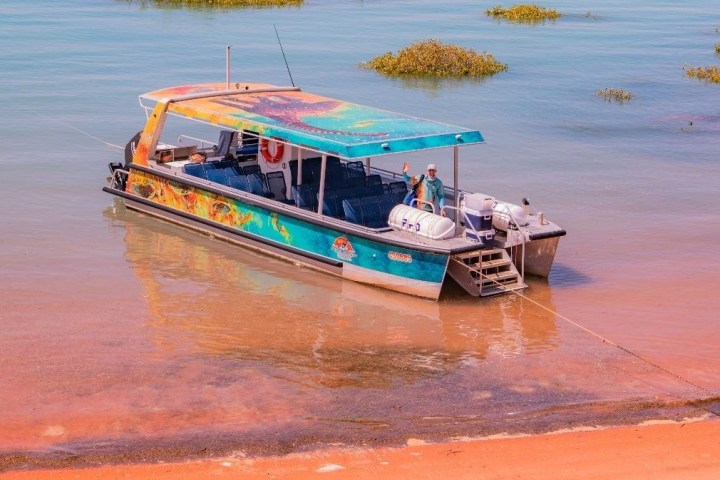 Colorful boat docked on a sandy shore with water and plants in the background.