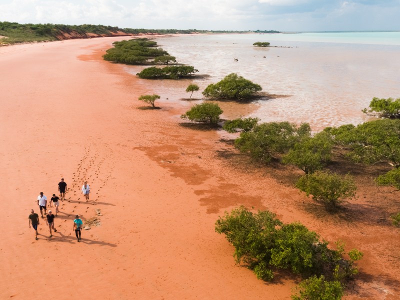 Group of people walking on a red sandy beach with green shrubs by the shore.
